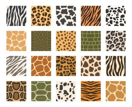 Animal print set featuring zebra leopard 스톡 일러스트