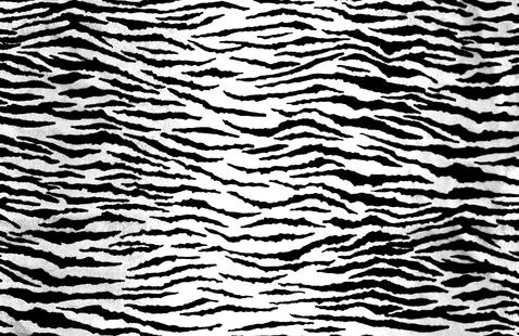 Animal print texture Stock Illustration