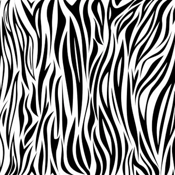 Animal print, zebra texture background black and white colors Stock Illustration