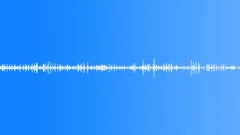 ANIMAL, RHINOCEROS Sound Effect