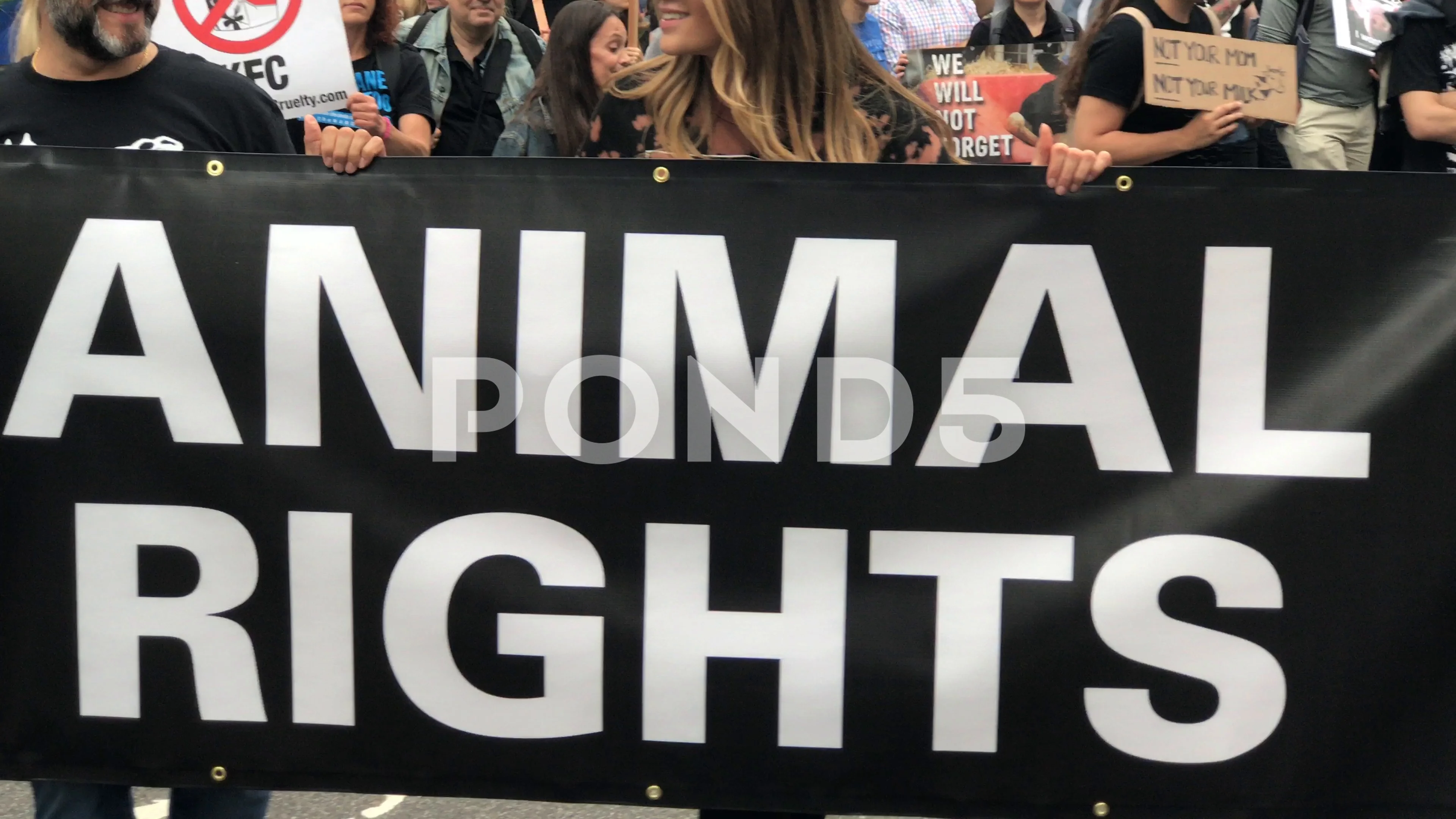 Animal Rights banner sign at march in Ne... | Stock Video | Pond5