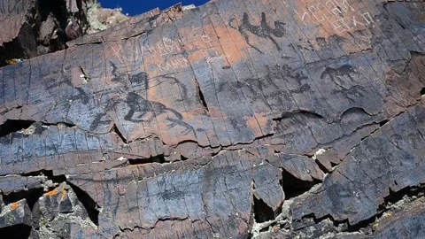 Animal rock paintings Video stock 139079192