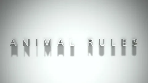 Animal rules 3D title animation white text on a white background Stock Footage 299757442