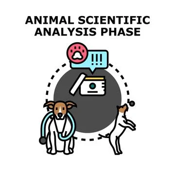 Animal scientific analysis phase vector illustration 库存插图