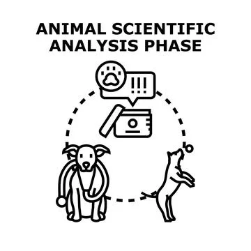 Animal scientific analysis phase vector illustration 库存插图