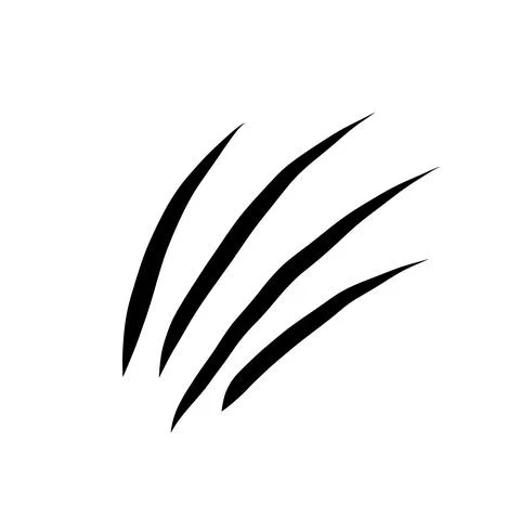 Animal scratche concept Stock Illustration