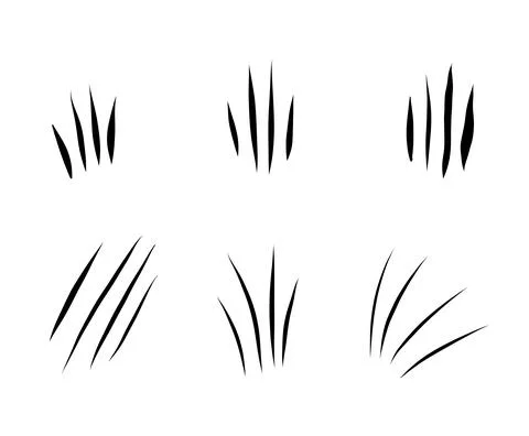Animal scratches set Stock Illustration