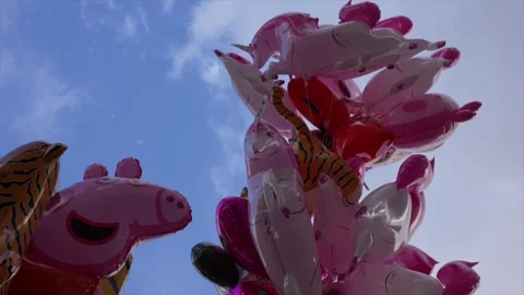 Animal shaped balloons of different types and colors, Video Stock Footage 297753595