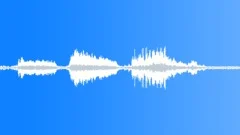 ANIMAL SHEEP DORPER GROUP BAA01Sound Effect