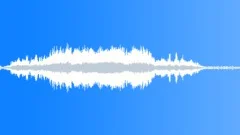 ANIMAL SHEEP DORPER GROUP BAA05Sound Effect