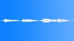 ANIMAL SHEEP DORPER GROUP BAA07Sound Effect