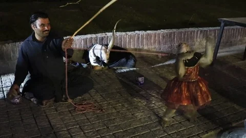 Animal show with monkey Stock Footage 127227239