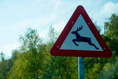 Animal Sign Stock Photos