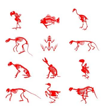 Animal skeleton set vector silhouette illustration Stock Illustration