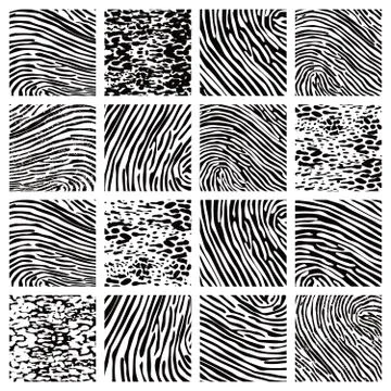 Animal skin background pattern 스톡 일러스트