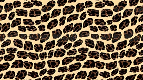 Animal Skin Leopard Stock Footage 215449411