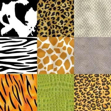 Animal skin pattern seamless vector animalistic skinny textured background of イラスト素材