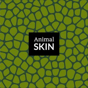 Animal skin texture pattern. Elephant crocodile snake or reptile vector skin Illustrazione stock