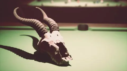 An animal skull on a pool table Stock Illustration