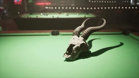 Animal Skull Resting on Pool Table イラスト素材
