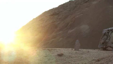 Animal skull weathered by hot sun. Desert in golden sunshine just before sunset. Stock Footage 163135341