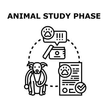 Animal study phase researching veterinary medical testing process Stock Illustration