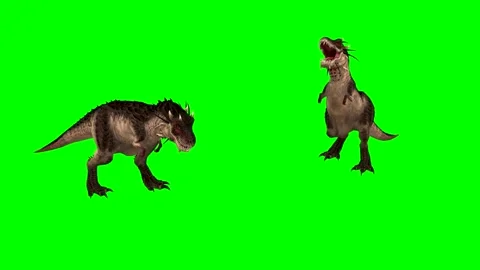 ANIMAL. T-REX .4K, time -30 seconds. Stock Footage 294907975