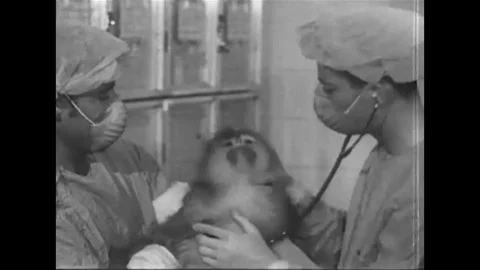 Animal testing and the examination of leukemic cells under a neuron microscope Vídeo Stock 137252248