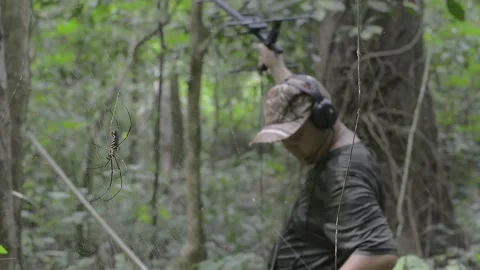 Animal Tracking Stock Footage 158446411