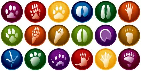 Animal tracks buttons 库存插图
