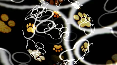 Animal Tracks Globe   動画素材 41841740