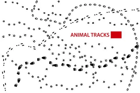 Animal Tracks, Vector 스톡 일러스트