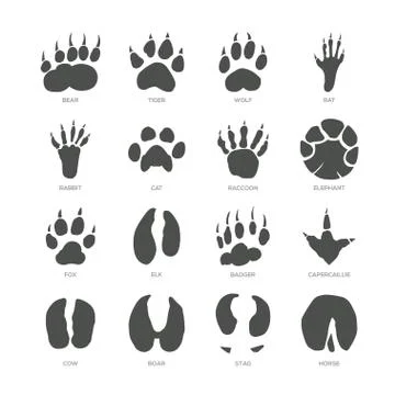 Animal trails - modern isolated vector set Stock Illustration