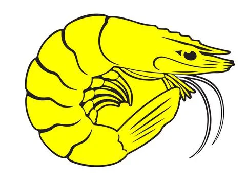 Animal Vector  Stock Illustration