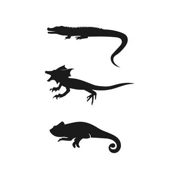 Animal vector lizard salamander gecko crocodile and reptiles design logo Stock Illustration