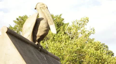 Animal Wall 動画素材 22084972