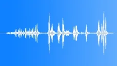 ANIMAL, WHALESound Effect