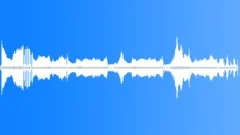 ANIMAL, WHALESound Effect