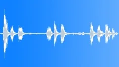 ANIMAL, WHALESound Effect