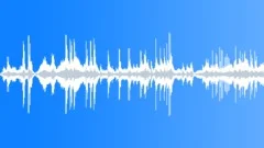 ANIMAL, WHALESound Effect