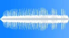 ANIMAL, WHALESound Effect