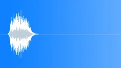 ANIMAL, WHALESound Effect