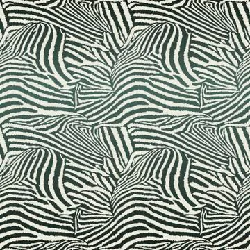 Animal Zebra Seamless Background Stock Illustration