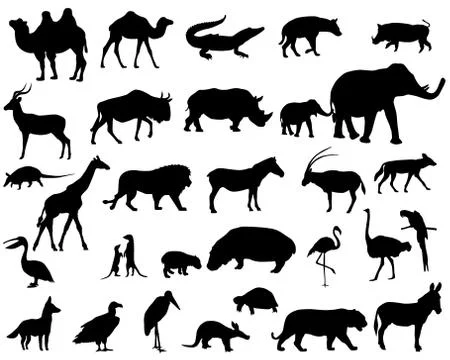 Animals of Africa Stock Illustration