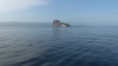 Animals and Nature Stock Footage 149802008