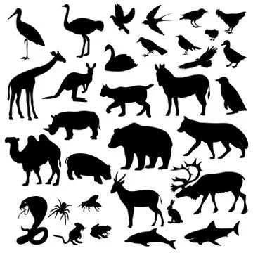 Animals are different Illustrazione stock