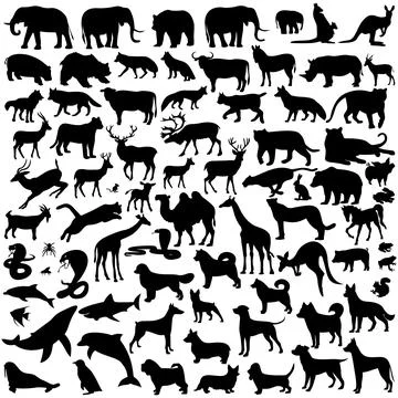 Animals are different Stock Illustration