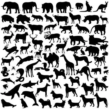 Animals are different Illustrazione stock