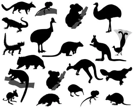 Animals of Australia Stock Illustration