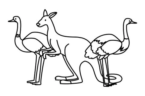 Animals of australia on white background Stock Illustration